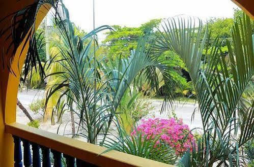 Hotel Maya Breeze 2*