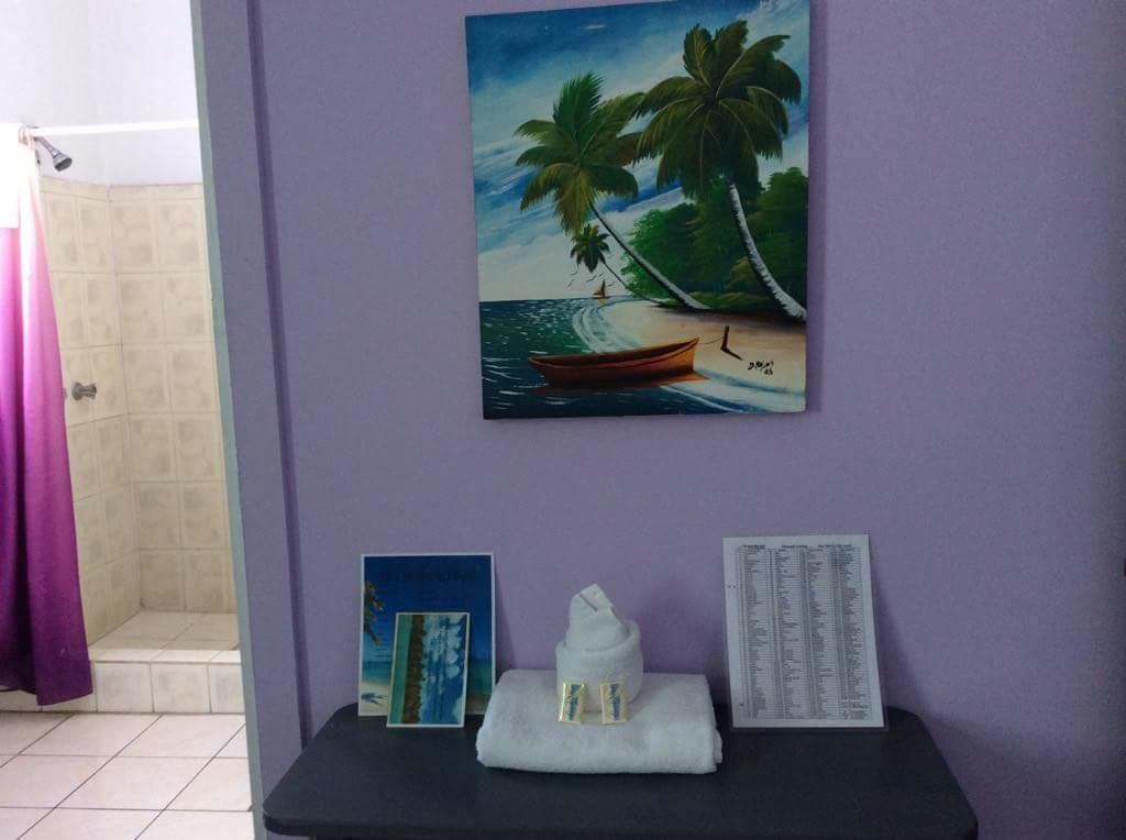 Caribbean Palms
