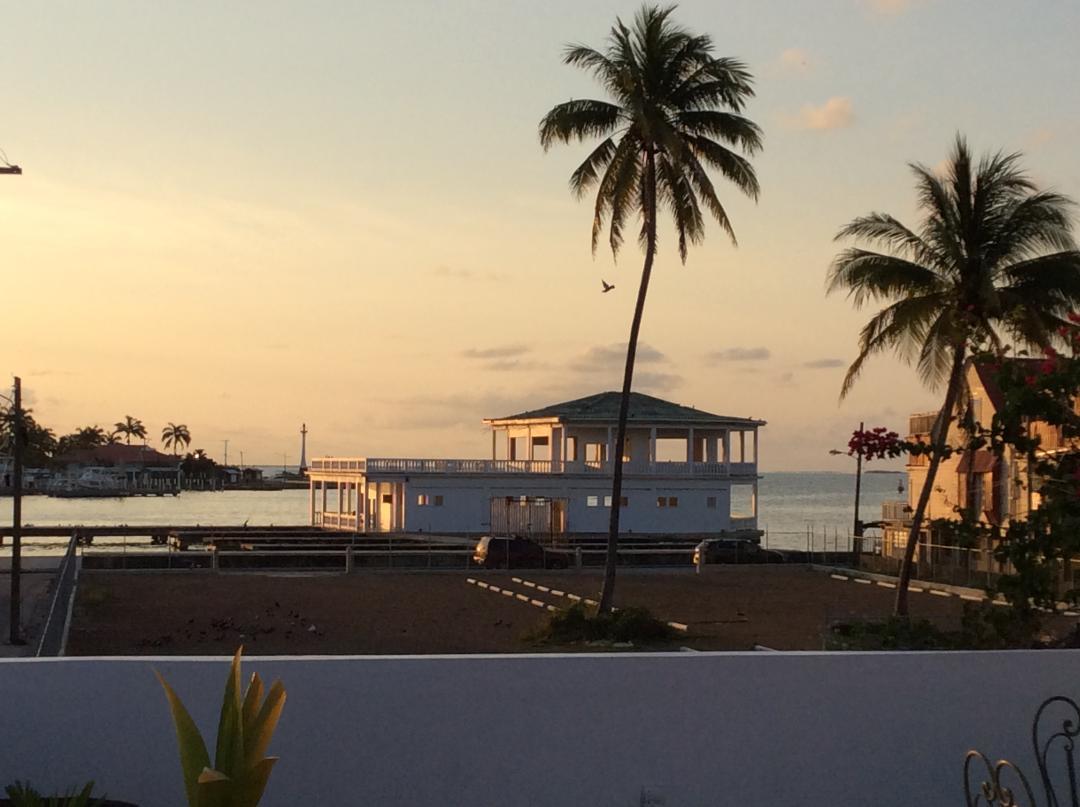 Caribbean Palms * Belize City