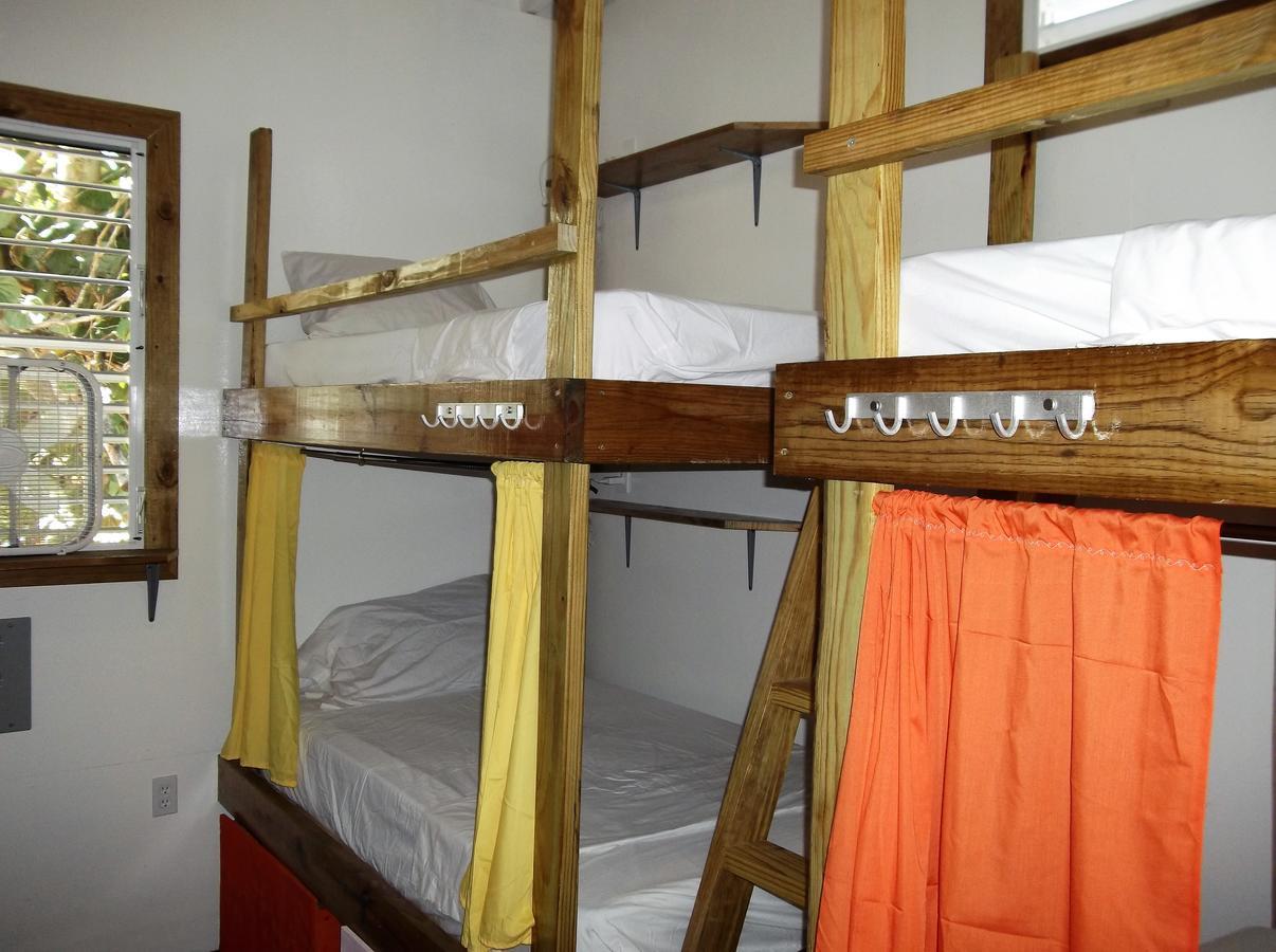 The Funky Dodo Backpackers