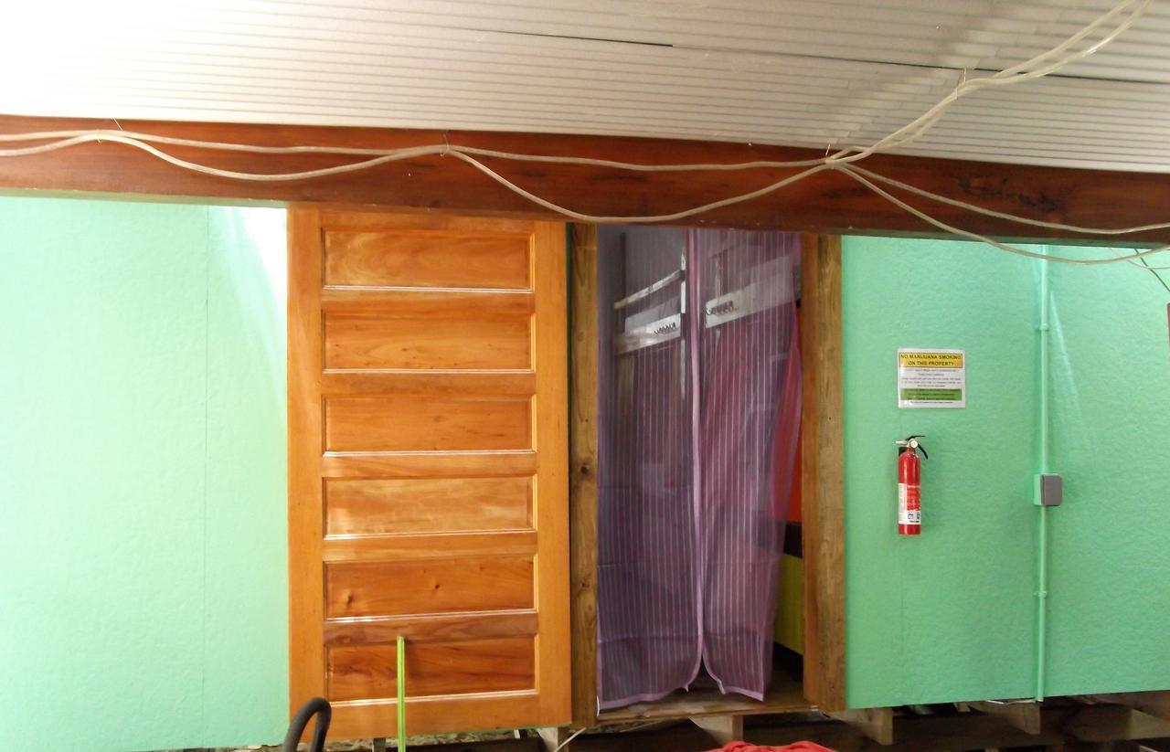 Hostel The Funky Dodo Backpackers