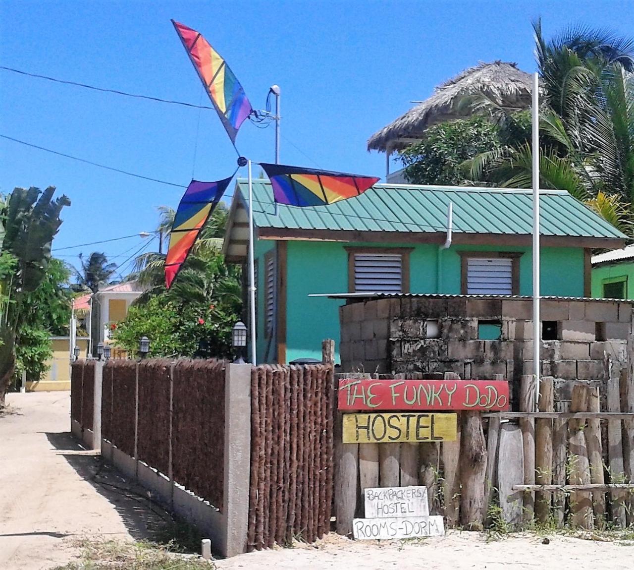 The Funky Dodo Backpackers Hostel