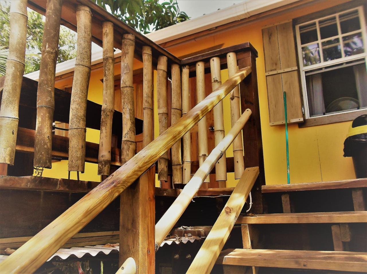 The Funky Dodo Backpackers *