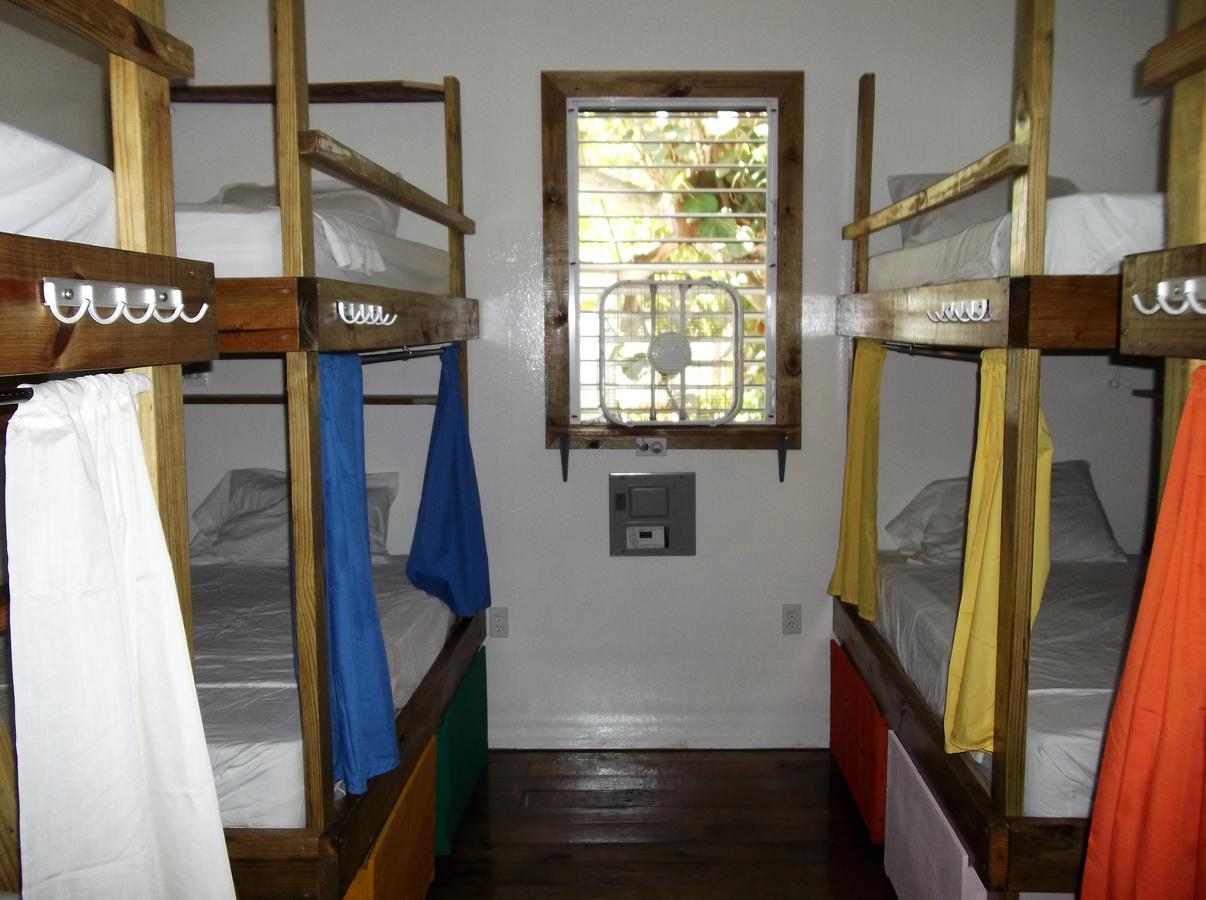 Hostel The Funky Dodo Backpackers Hopkins
