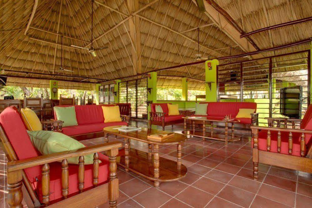 Windy Hill Resort San Ignacio