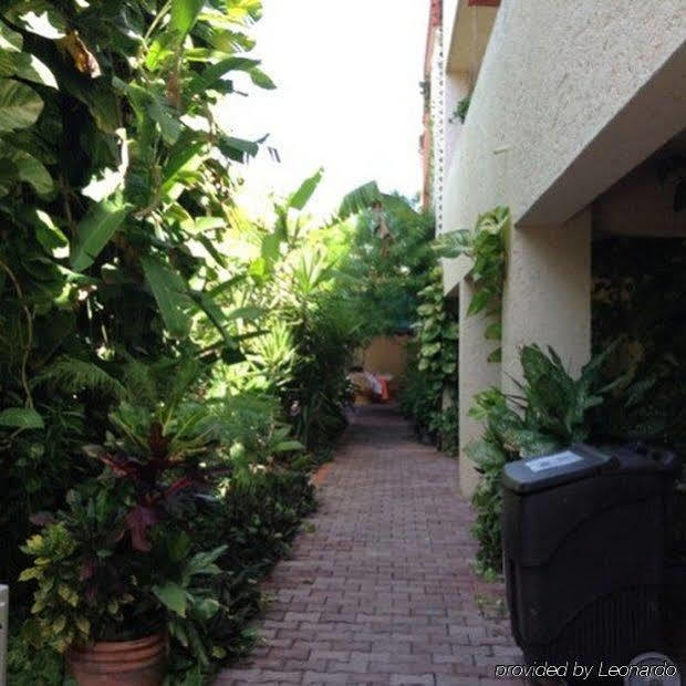Hotel Banana 3*