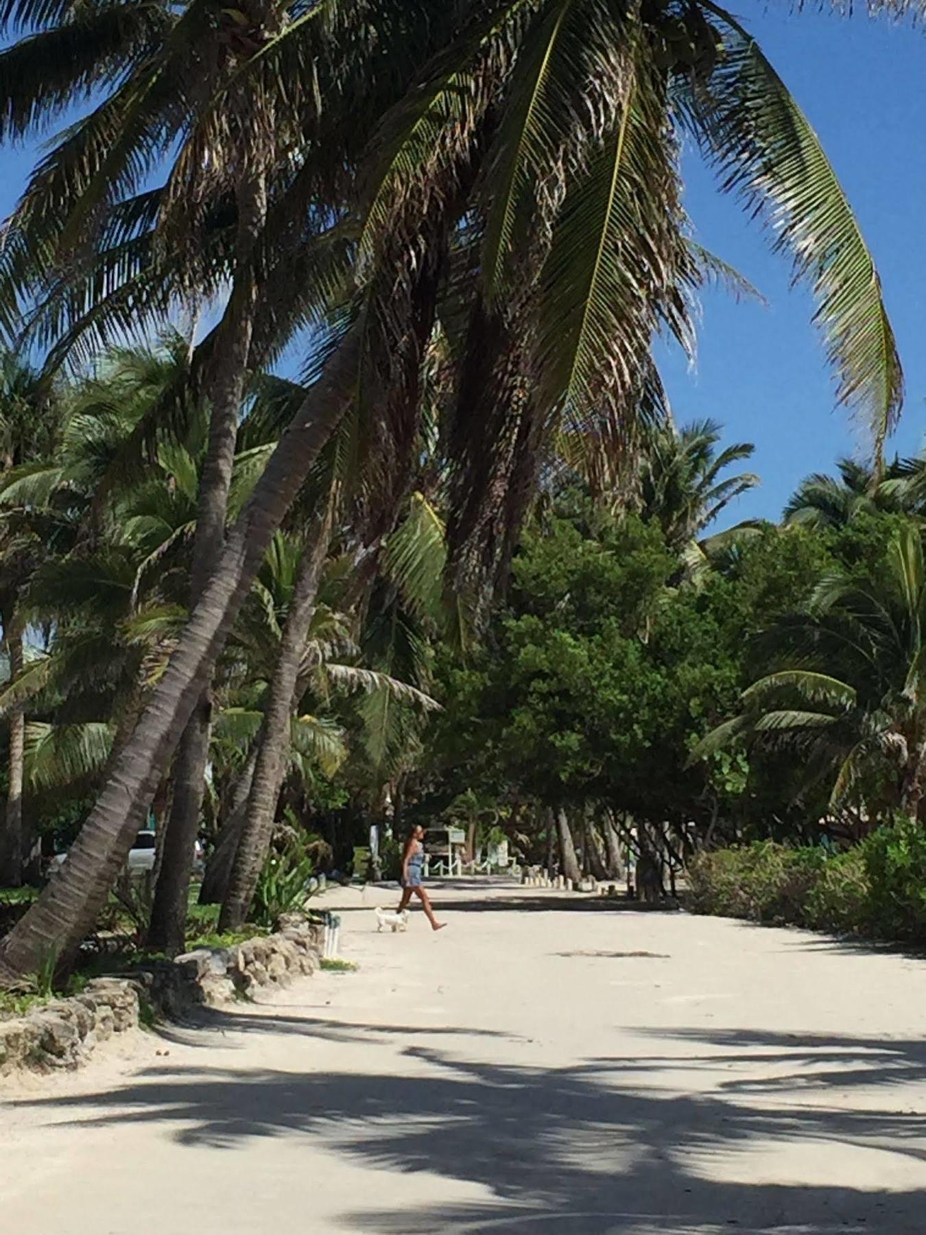 Hotel Caye Casa 3*
