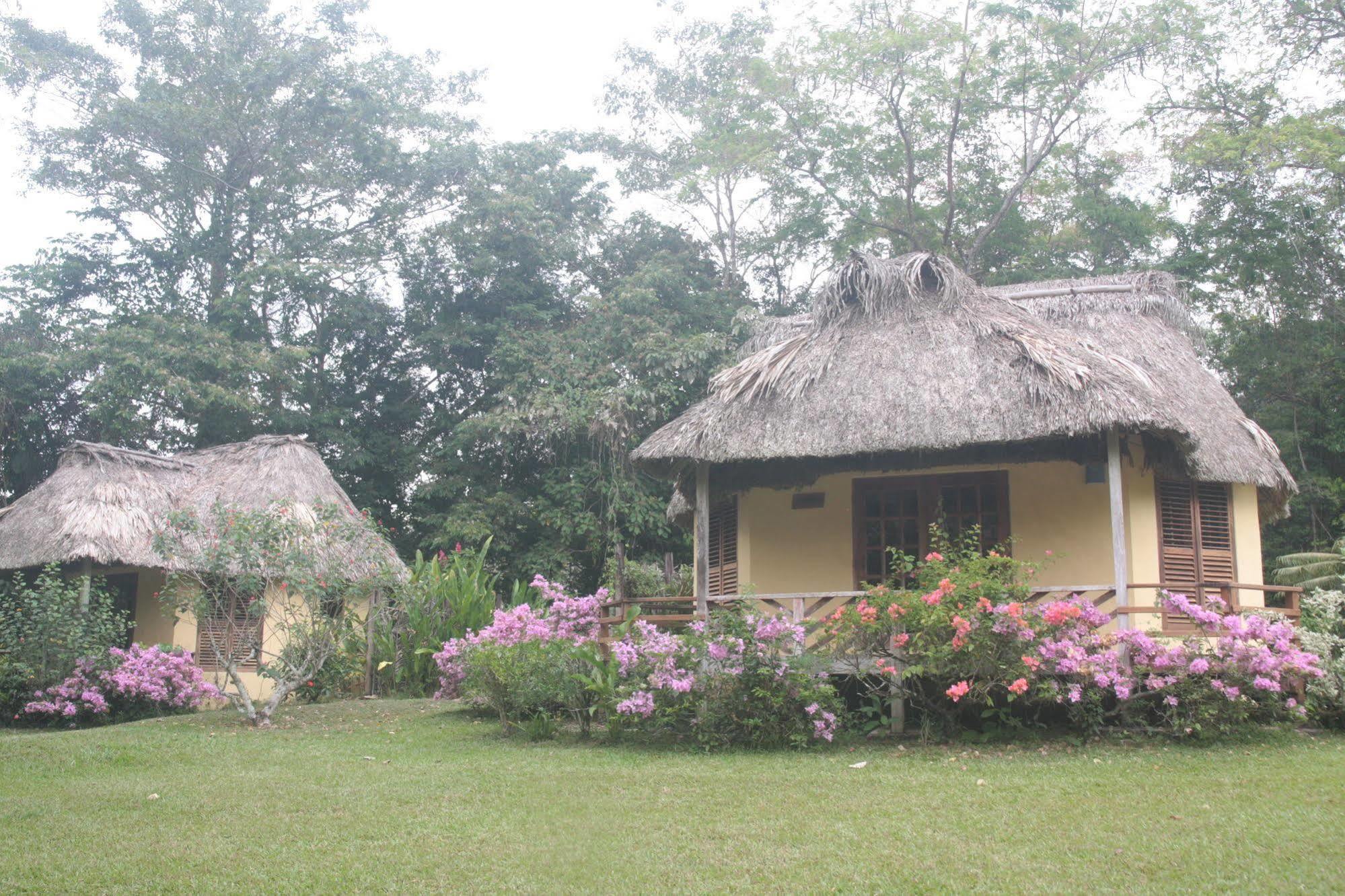 Resort Tanager Rainforest 3*