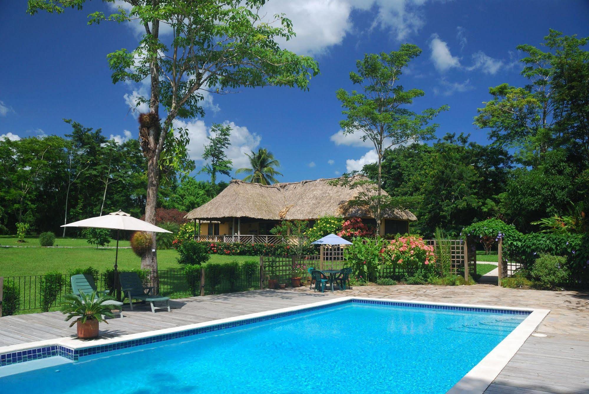 Resort Tanager Rainforest
