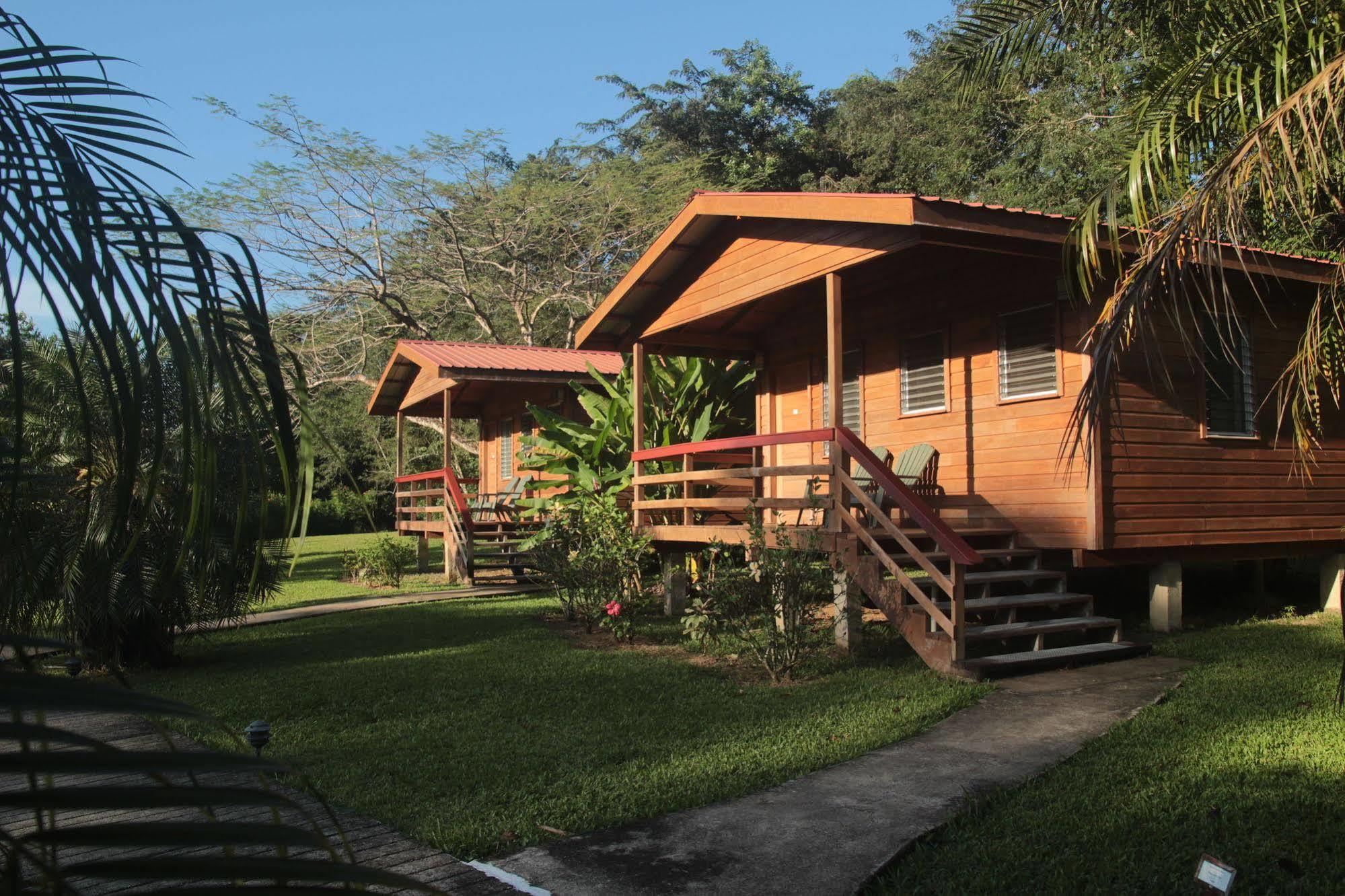 Tanager Rainforest 3*