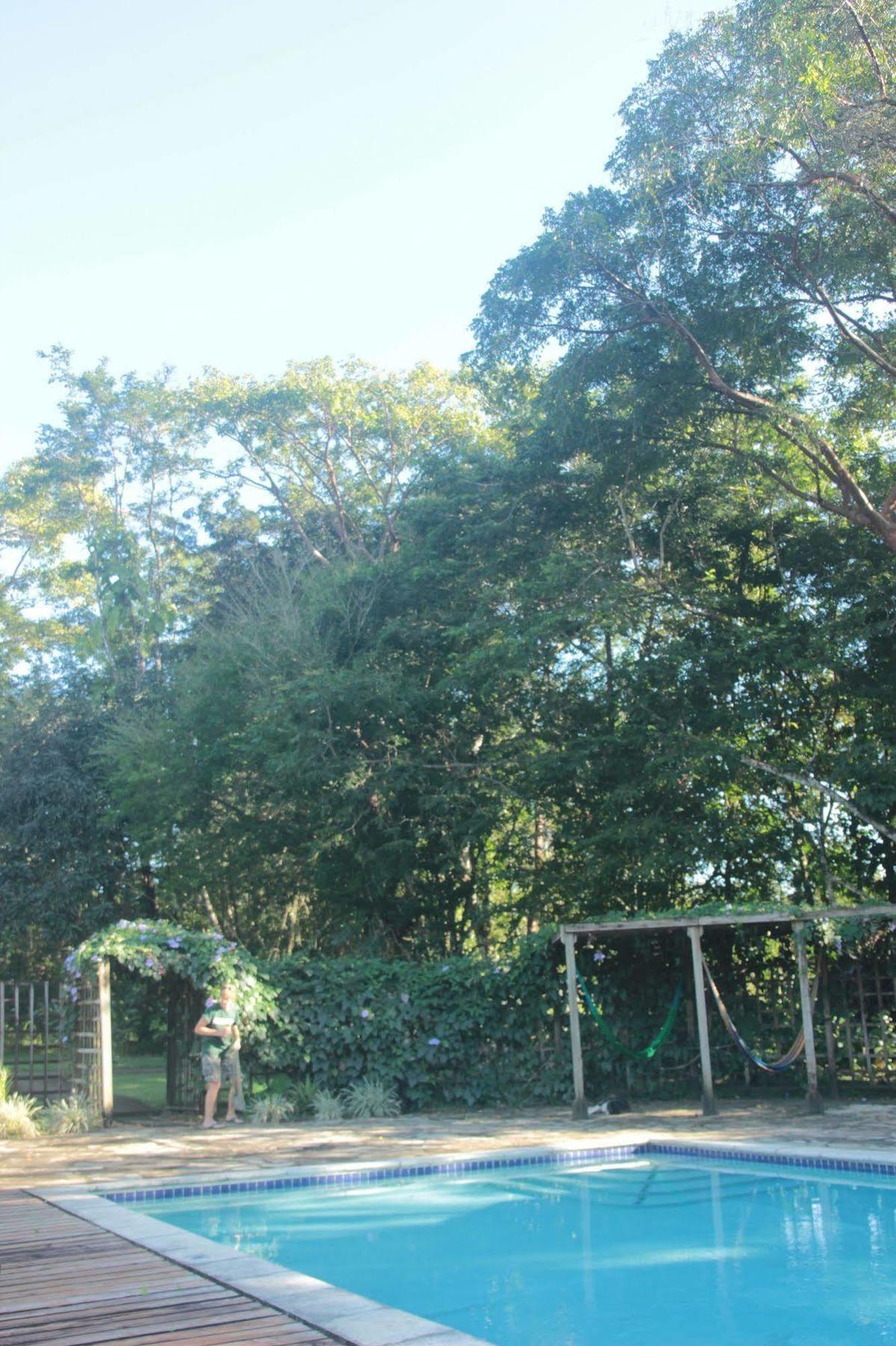 Tanager Rainforest