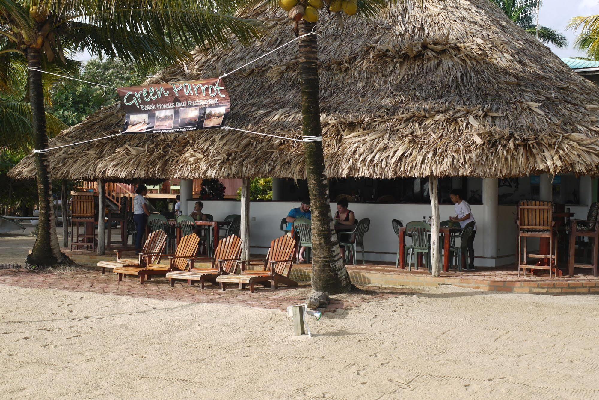 Lodge Green Parrot Beach Houses And *