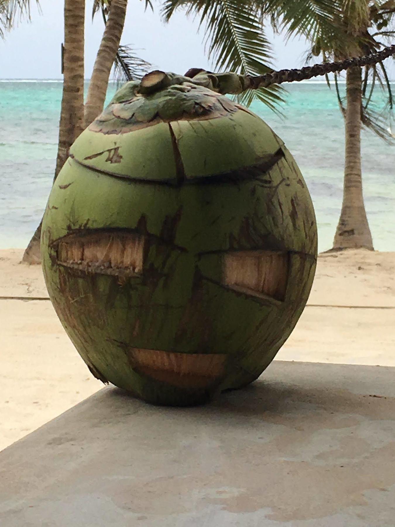 The Palapa House Hotel 3*