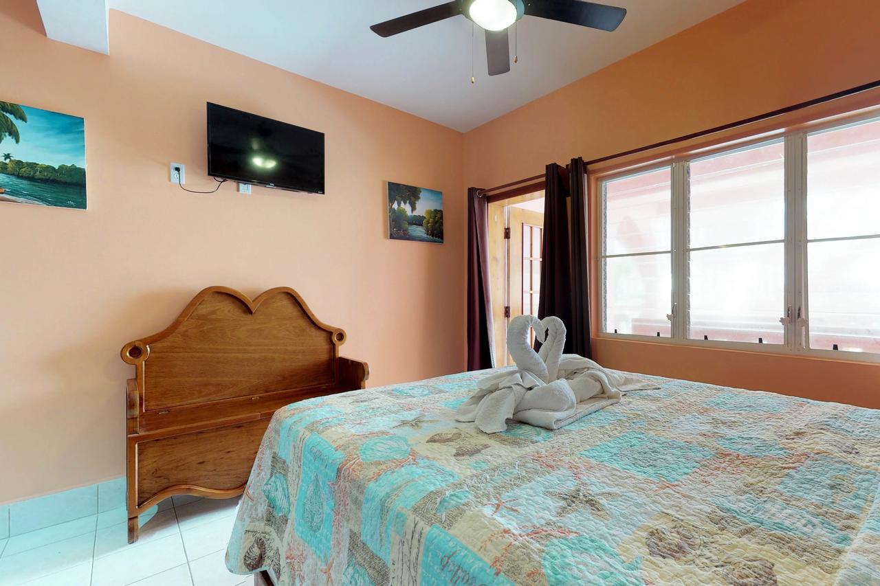 Caribbean Lily @ Caribe Island * San Pedro (Ambergris Caye)