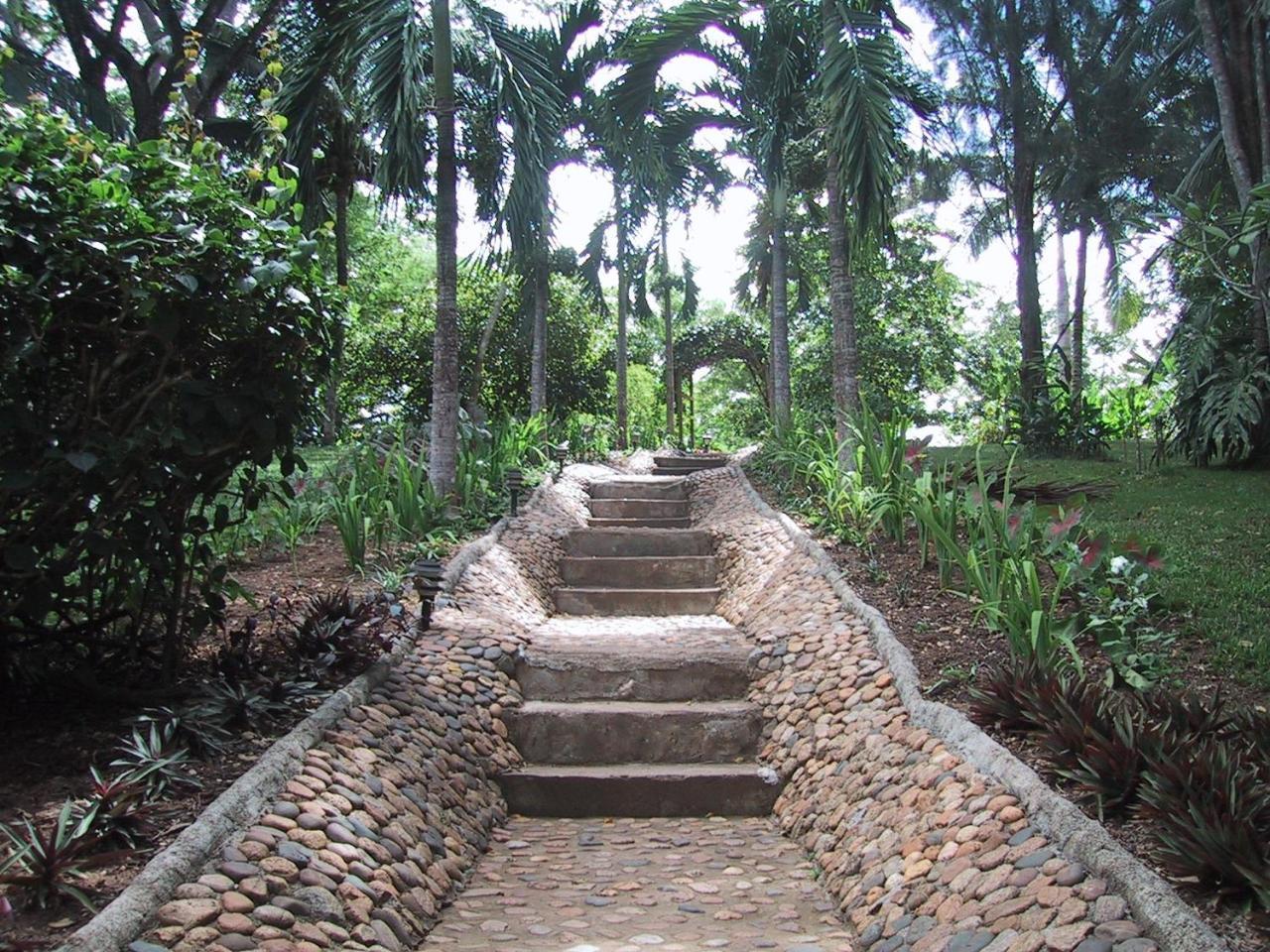 Lodge Sweet Songs Jungle San Ignacio