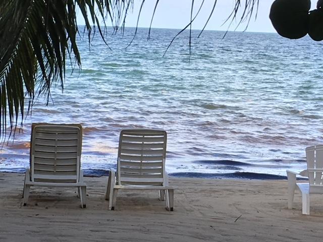 Jungle Jeanie's By The Sea Lodge Hopkins