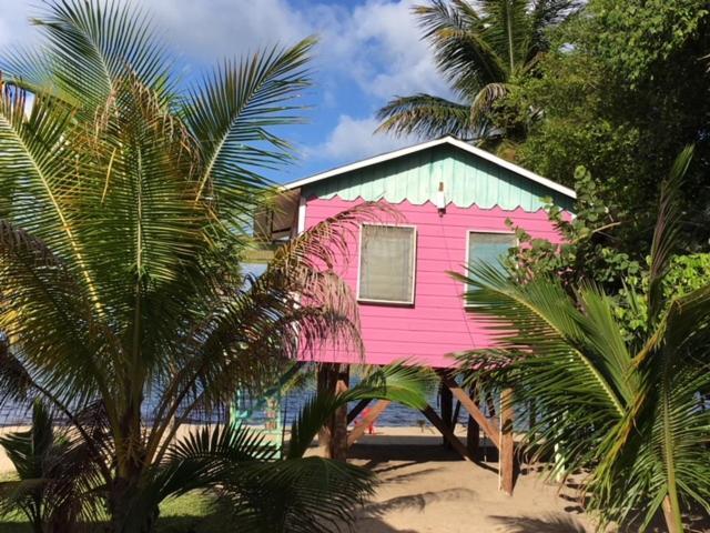 Lodge Jungle Jeanie's By The Sea Hopkins