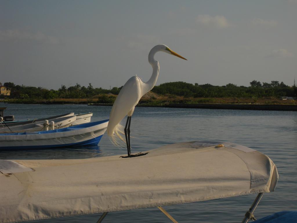 Laru Beya Resort Placencia