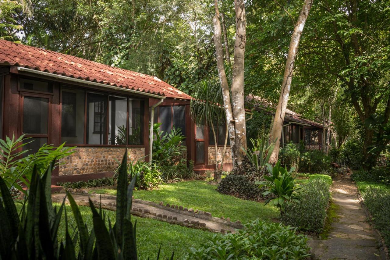 Sweet Songs Jungle * San Ignacio