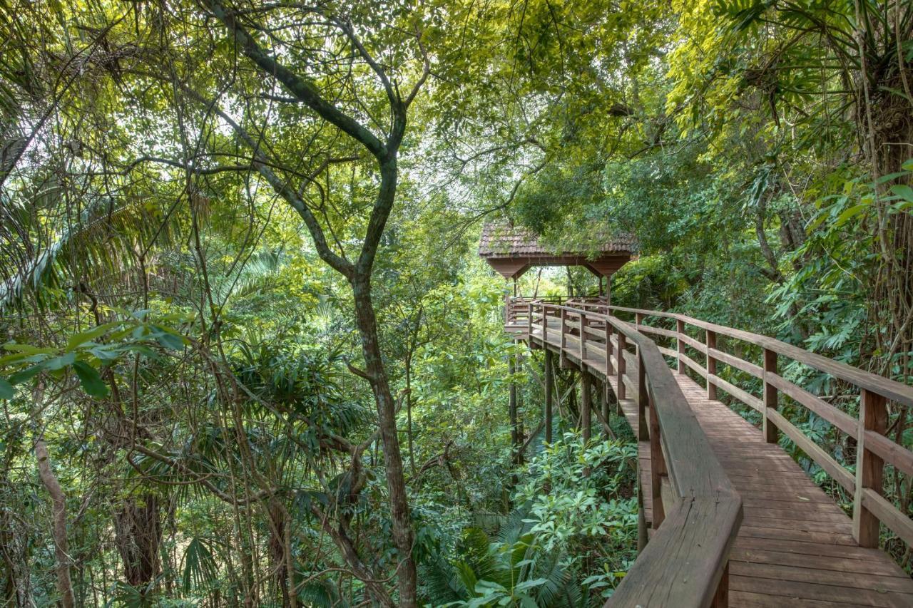 Sweet Songs Jungle Lodge San Ignacio