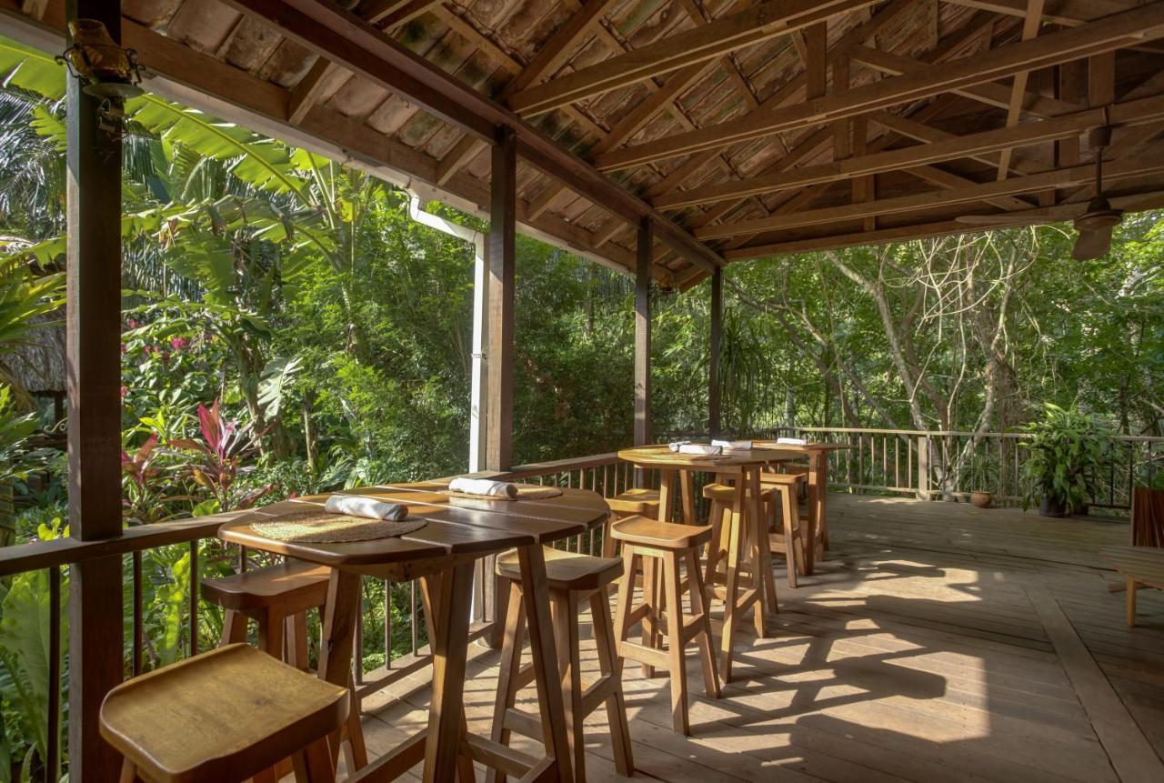Sweet Songs Jungle San Ignacio