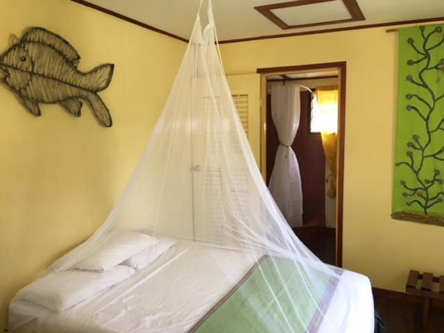 Lodge Jungle Jeanie's By The Sea