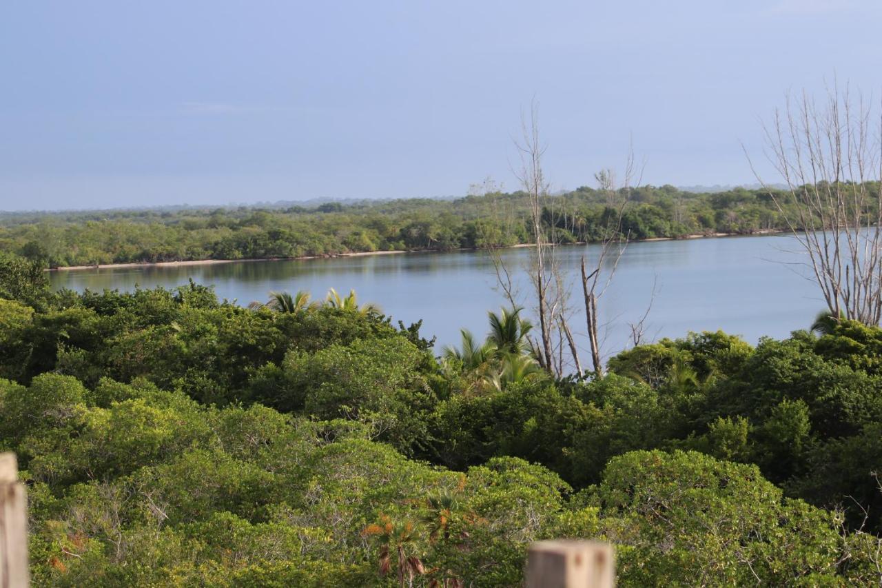 Bed & Breakfast Palmento Grove Garifuna Eco-cultural & Healing Institute