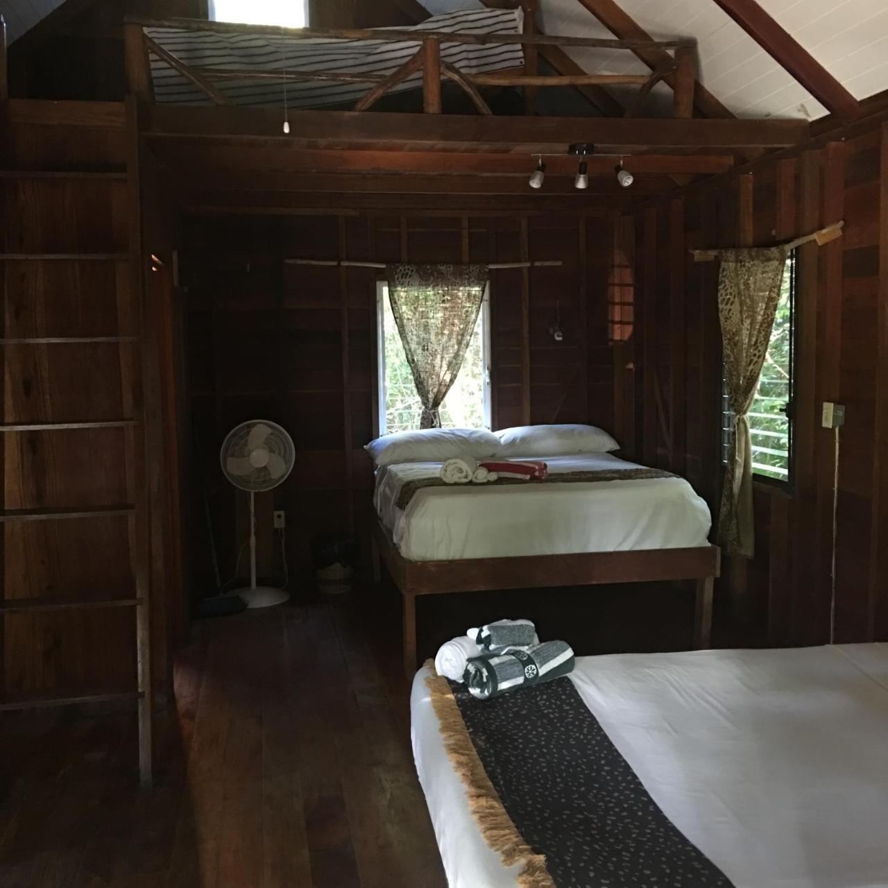 Lodge Jungle Jeanie's By The Sea Hopkins