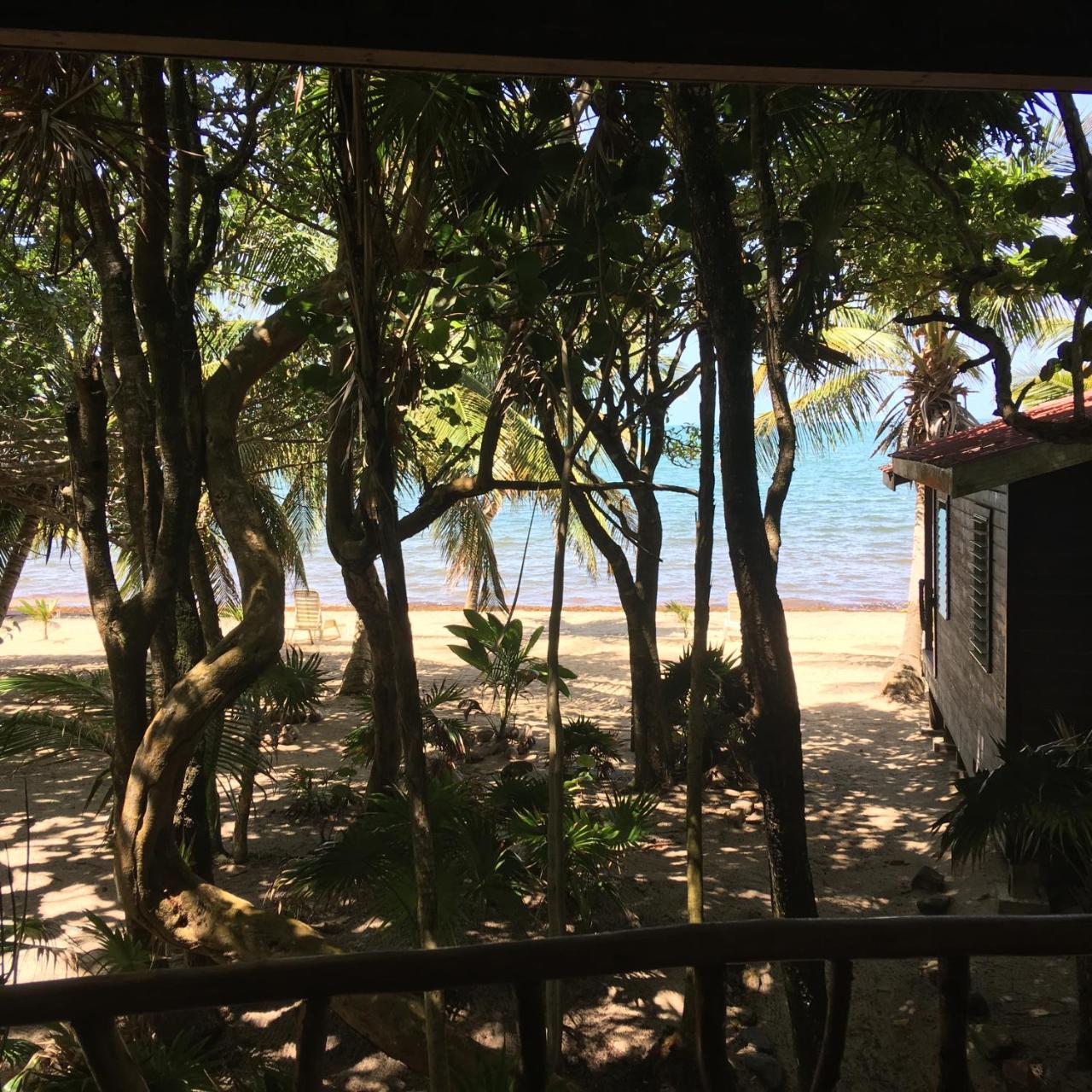 Lodge Jungle Jeanie's By The Sea