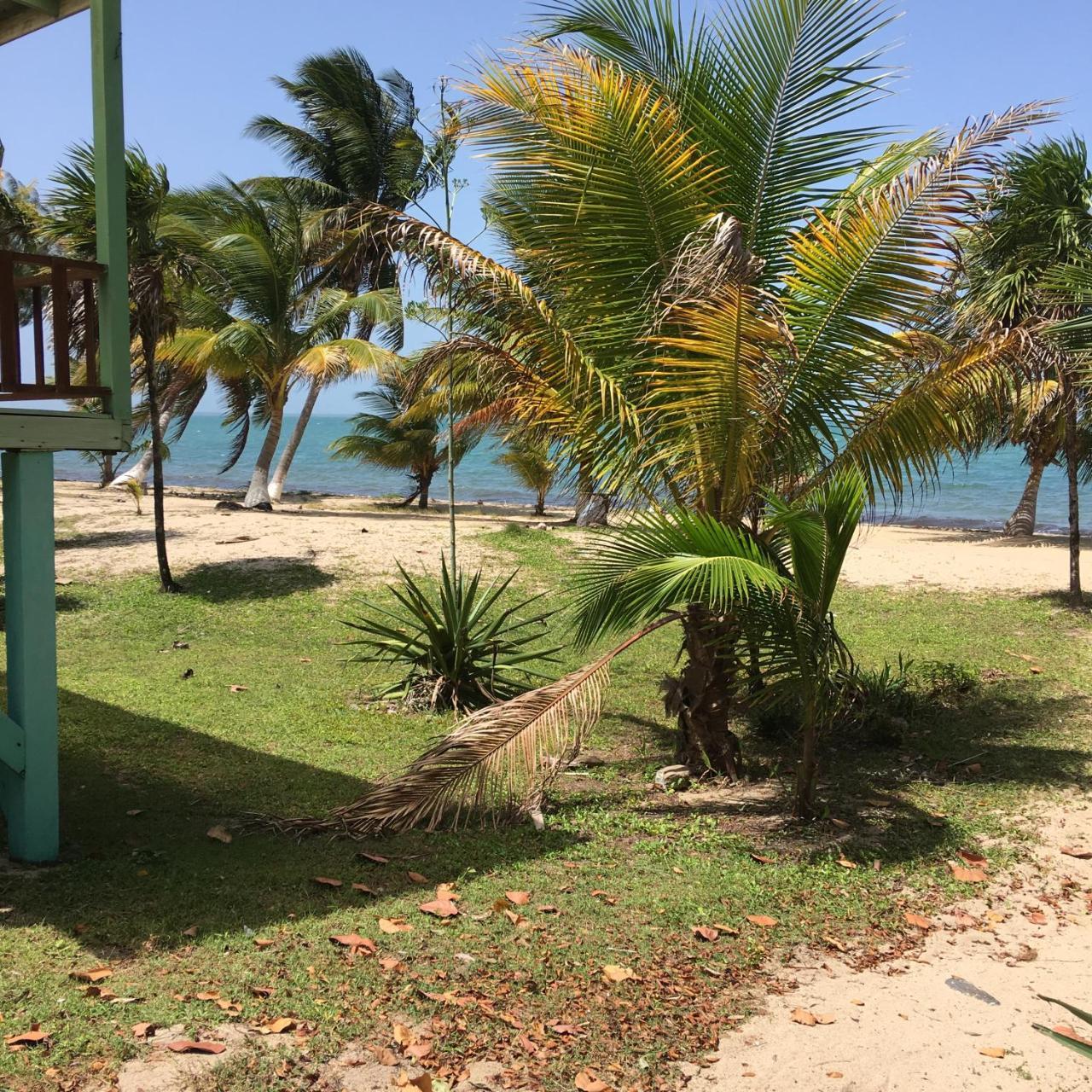 Jungle Jeanie's By The Sea