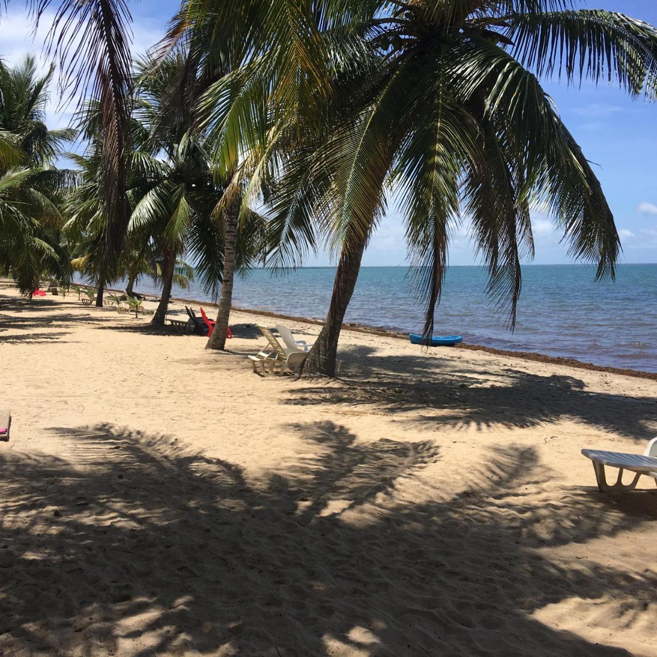 Jungle Jeanie's By The Sea *