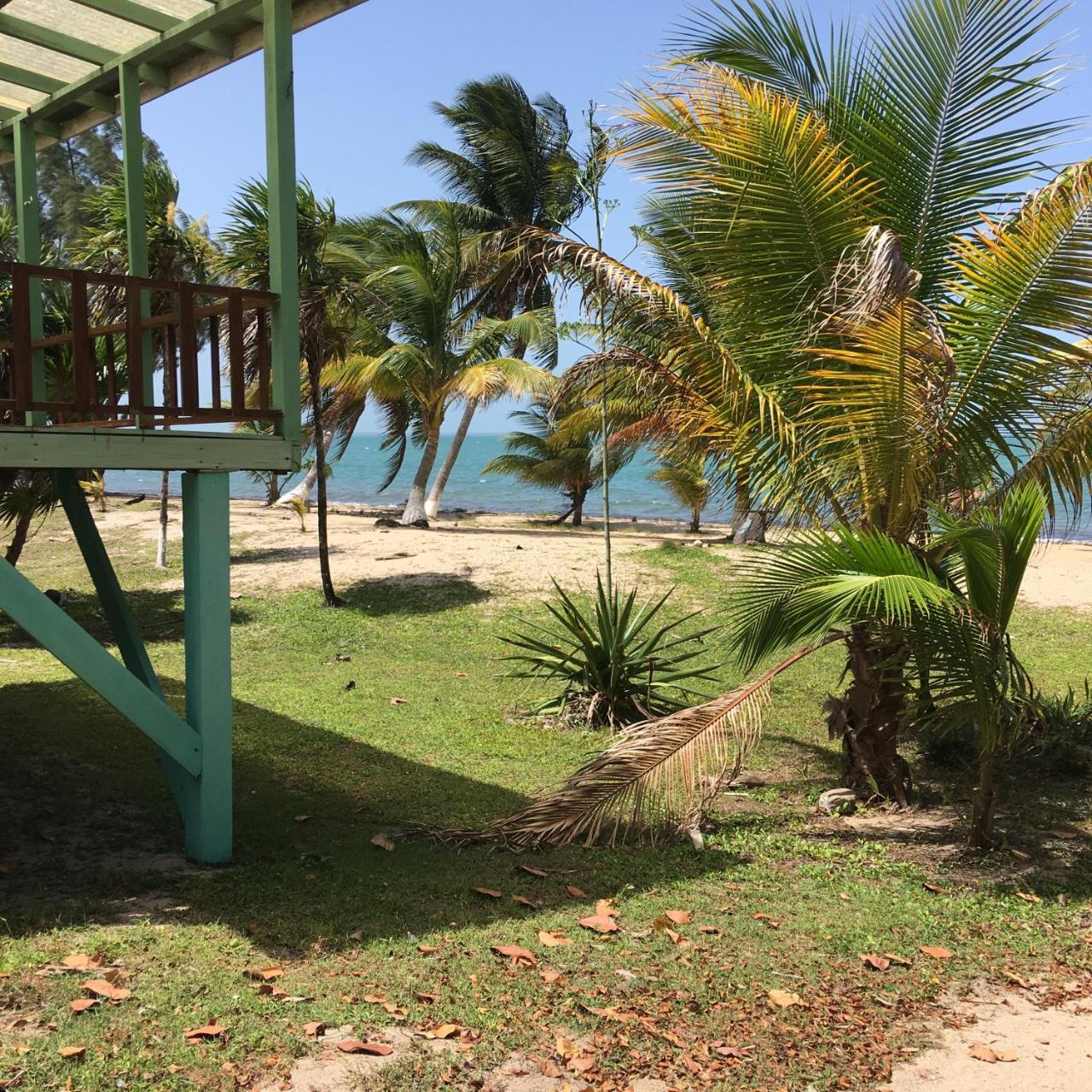 Jungle Jeanie's By The Sea * Hopkins
