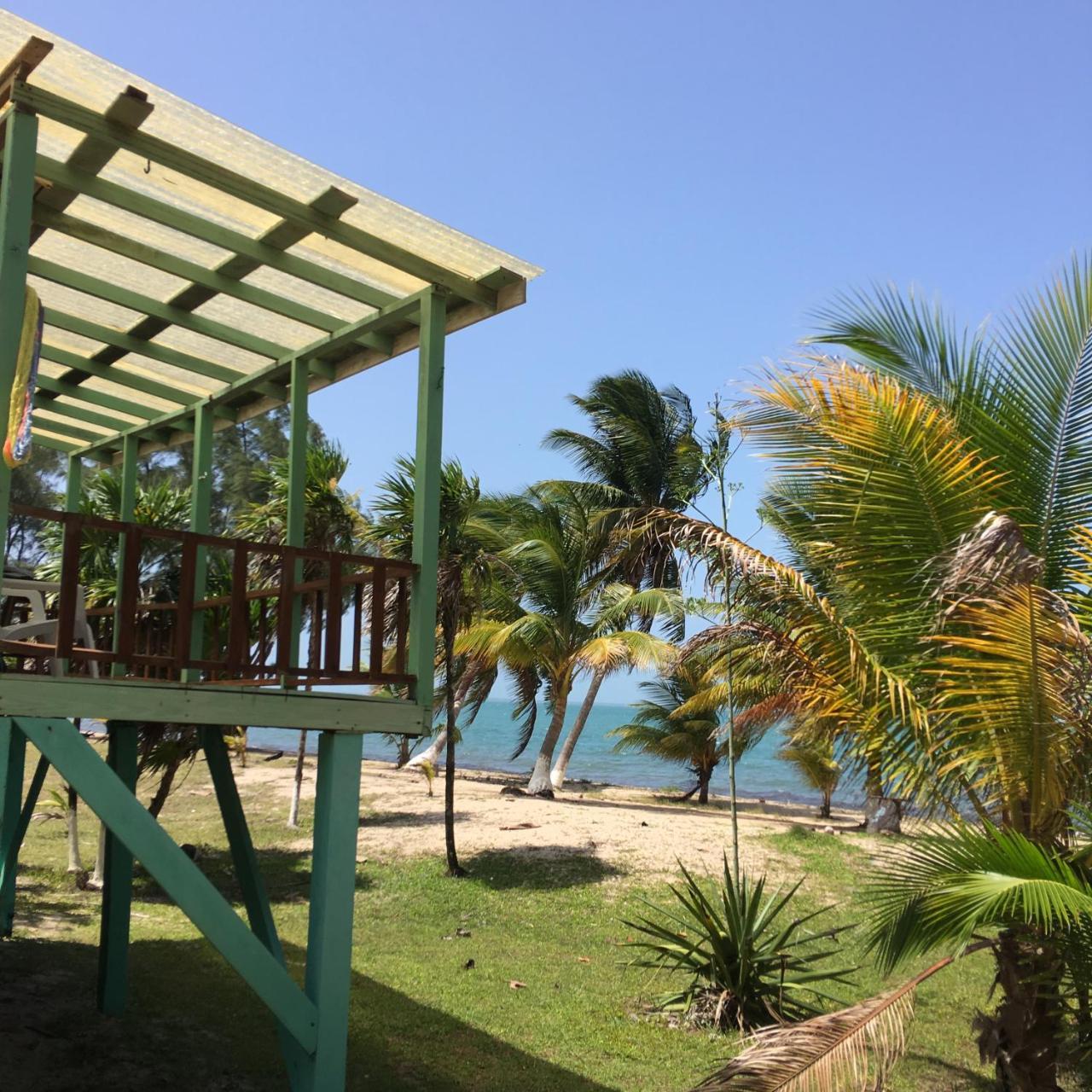 Jungle Jeanie's By The Sea Hopkins