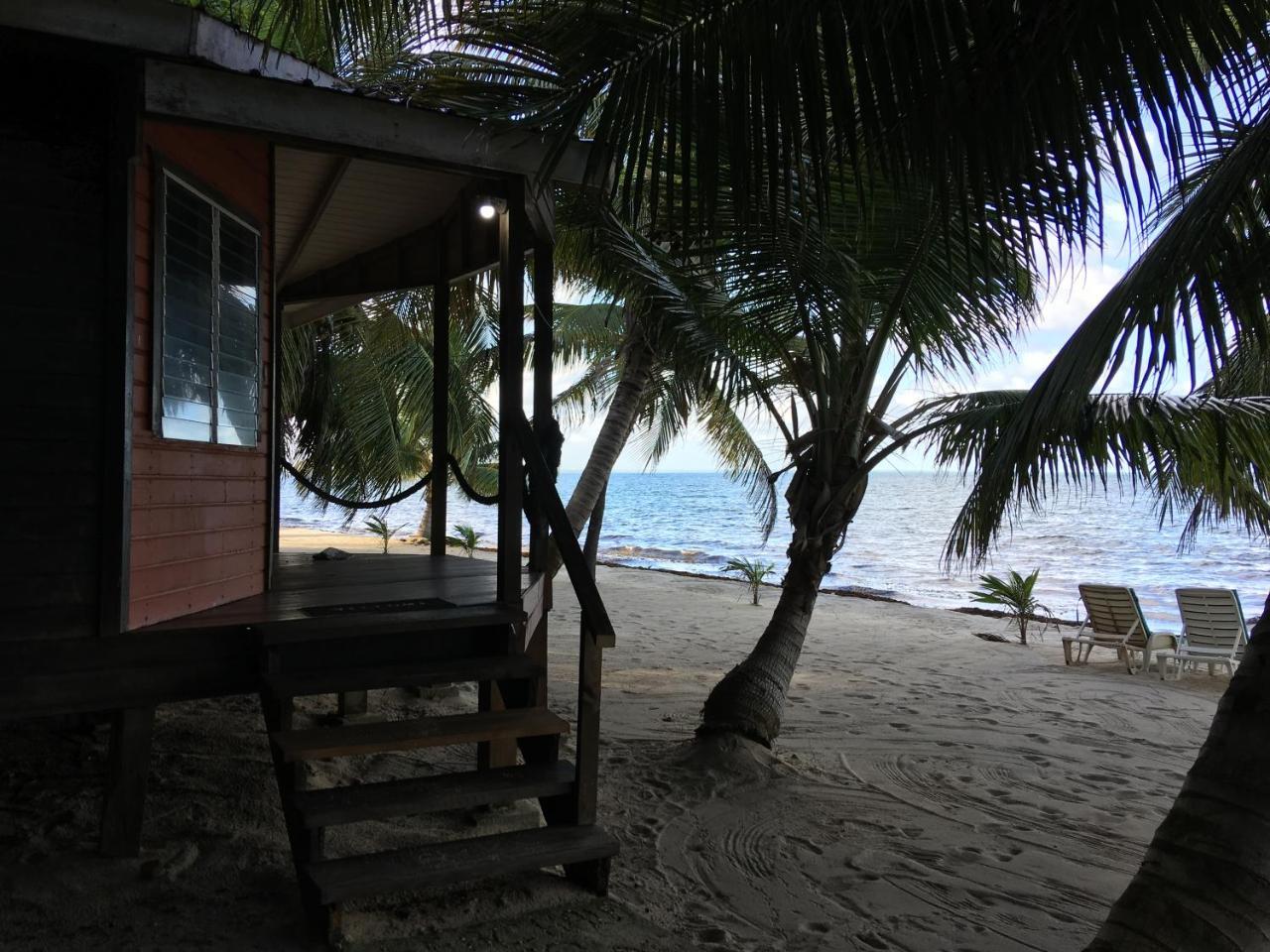 Jungle Jeanie's By The Sea *