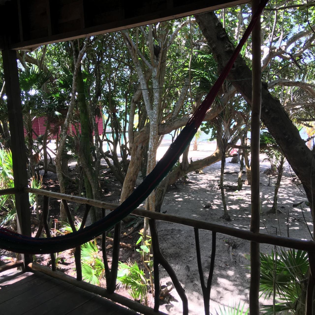 Lodge Jungle Jeanie's By The Sea