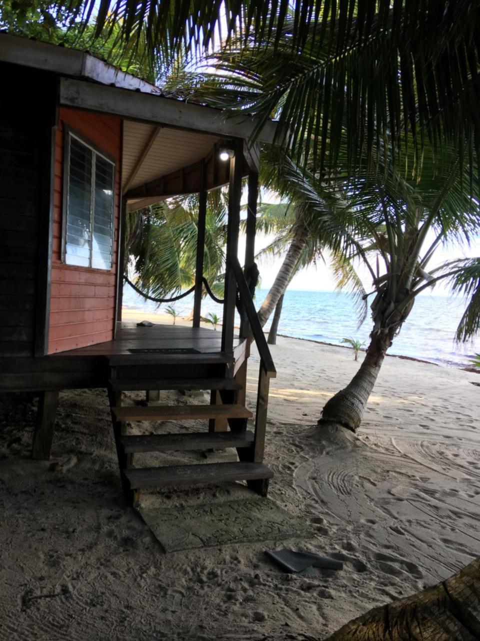 Jungle Jeanie's By The Sea Hopkins