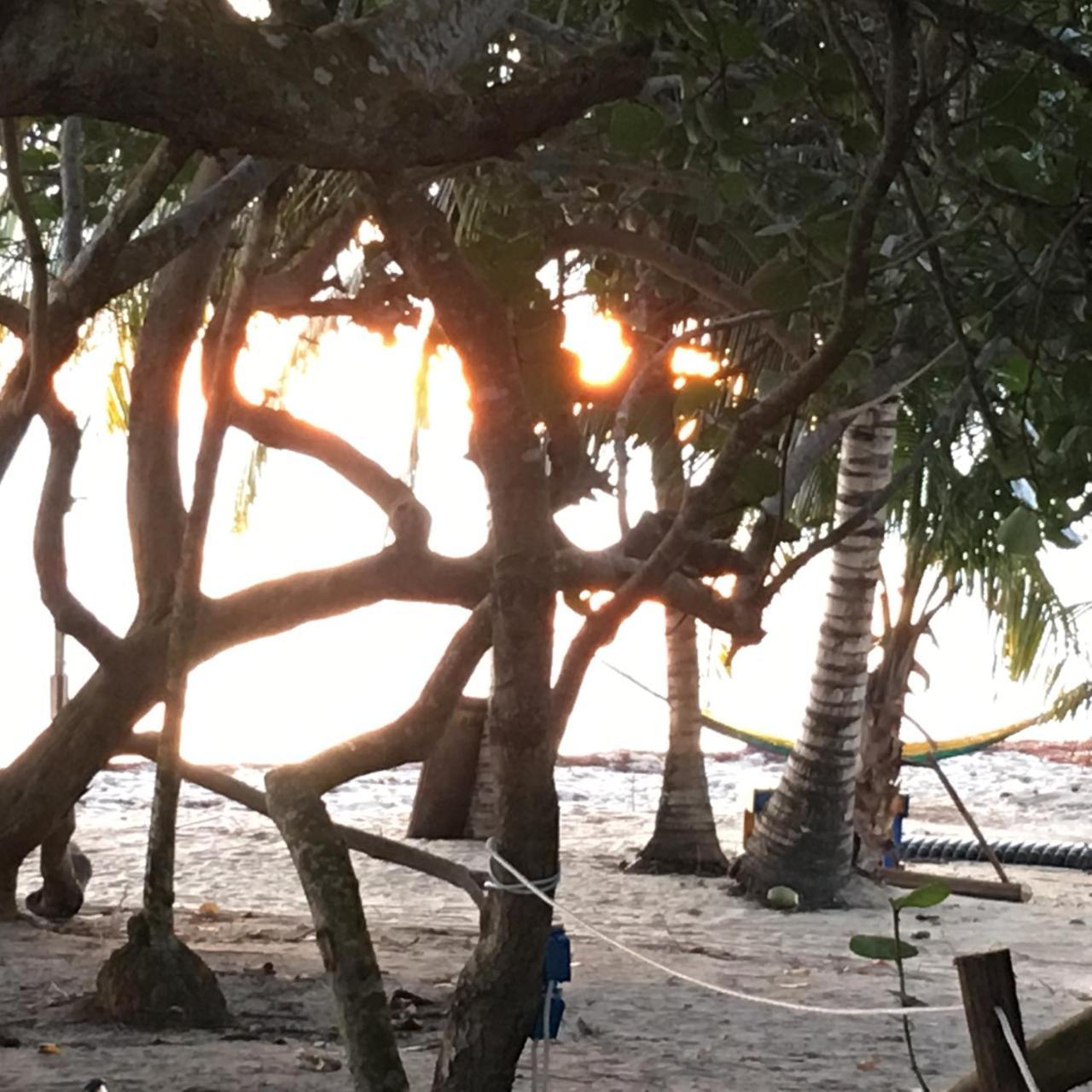 Jungle Jeanie's By The Sea