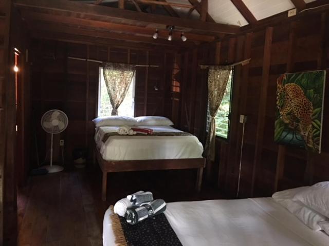 Jungle Jeanie's By The Sea Lodge Hopkins