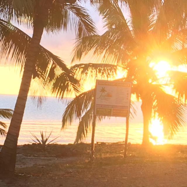 Jungle Jeanie's By The Sea *
