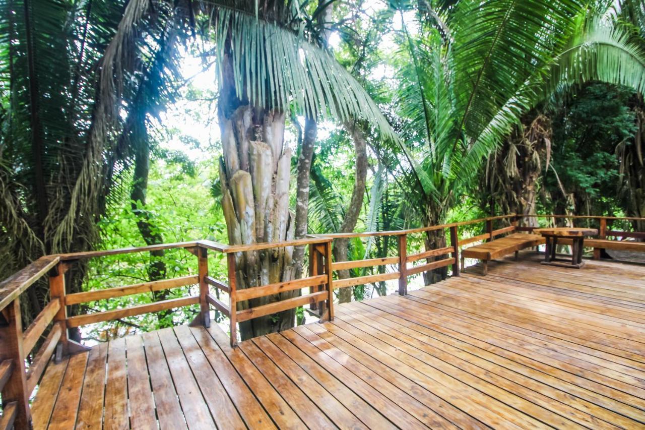 Cohune Palms River Resort 2*