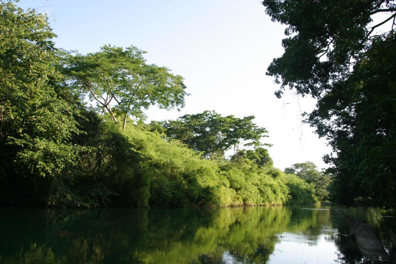 Resort Cohune Palms River Bullet Tree Falls