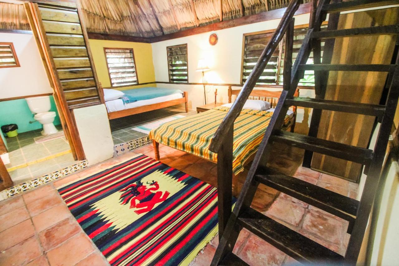 Cohune Palms River Resort Bullet Tree Falls