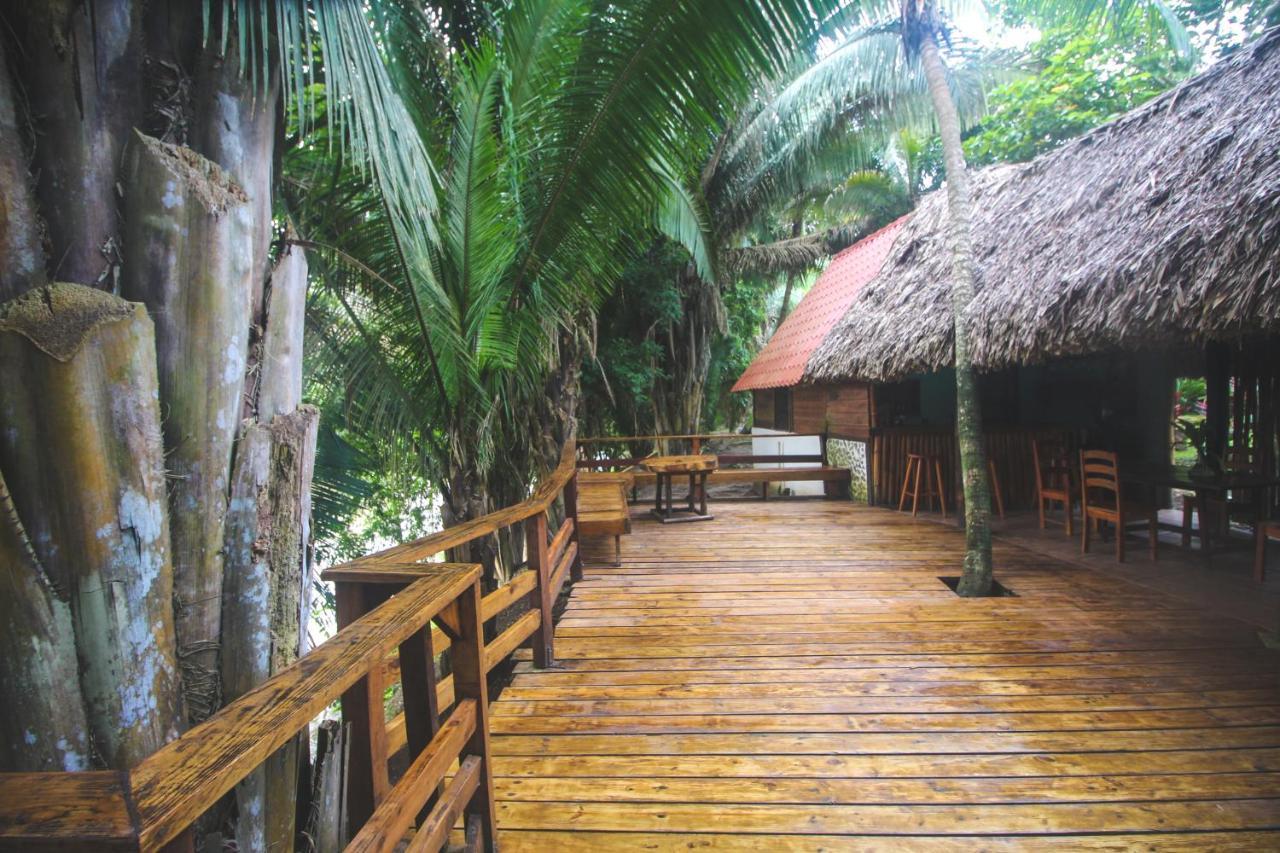 Cohune Palms River Resort