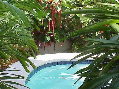 Seven Seas Adults Only Hotel San Pedro (Ambergris Caye)