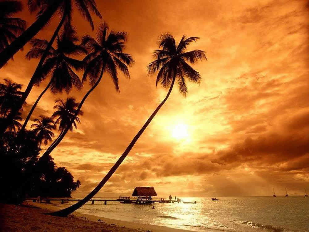 Hotel Seven Seas Adults Only San Pedro (Ambergris Caye)