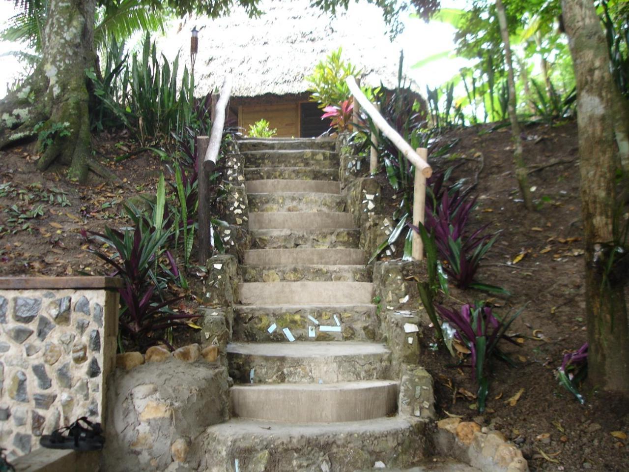 Cohune Palms River Resort Bullet Tree Falls