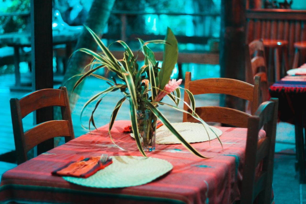Cohune Palms River Resort