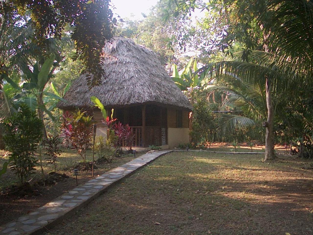 Cohune Palms River Resort Bullet Tree Falls