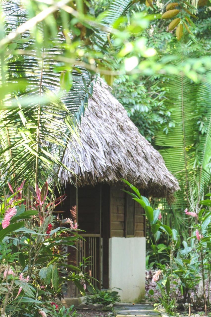 Cohune Palms River Resort