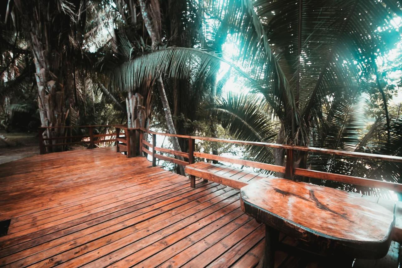 Resort Cohune Palms River